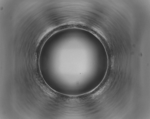 X0000089741021200706211456