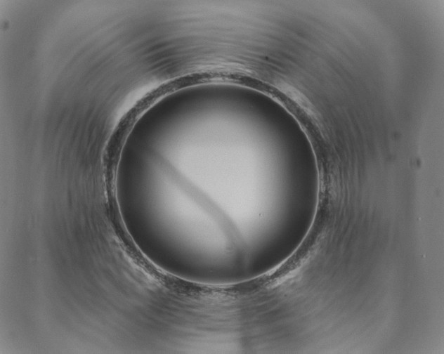 X0000089741022200706211456