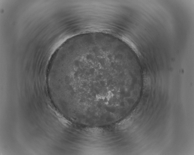 X0000089741023200706211456