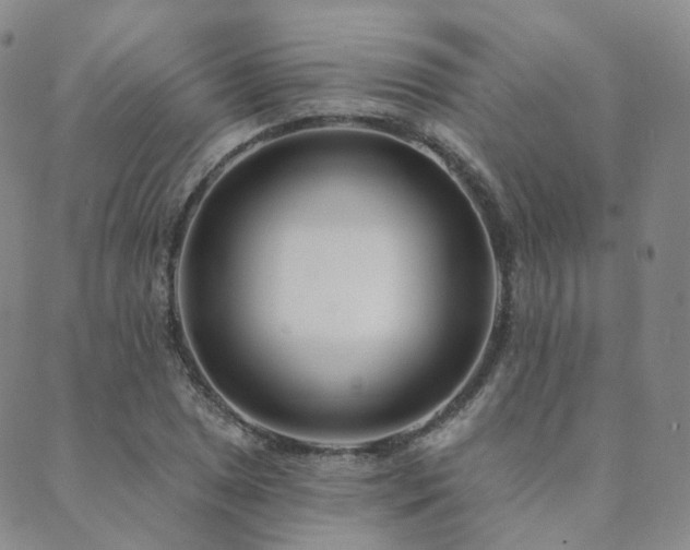 X0000089741025200706211457