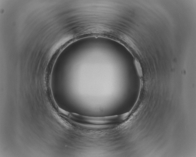 X0000089741026200706211457