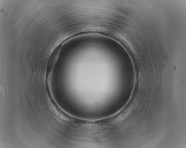 X0000089741033200706211457
