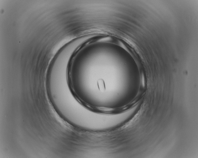 X0000089741034200706211457