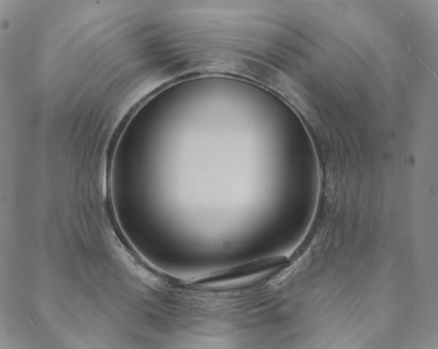 X0000089741036200706211457