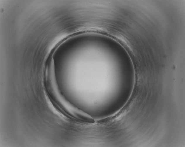 X0000089741038200706211457