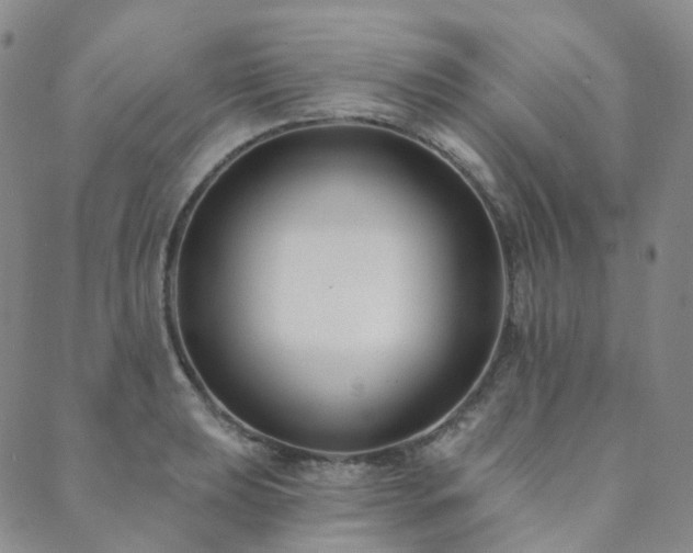 X0000089741039200706211457