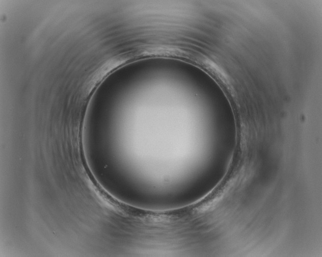 X0000089741041200706211457