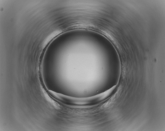 X0000089741042200706211457
