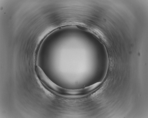 X0000089741046200706211457