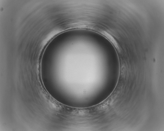 X0000089741051200706211457