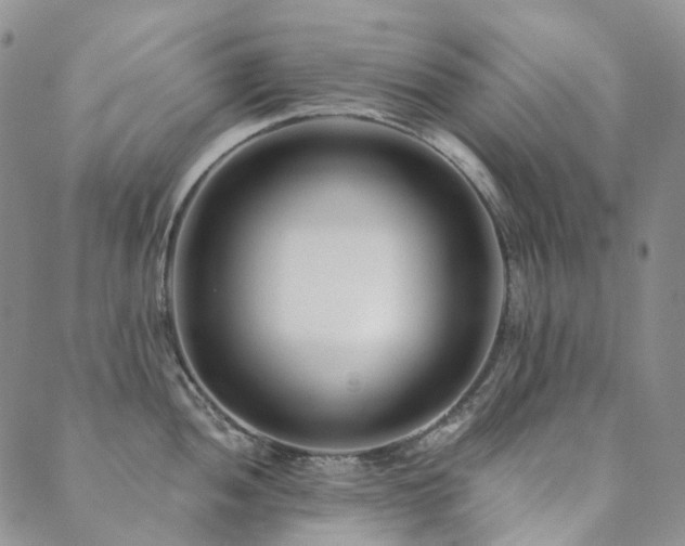 X0000089741052200706211457