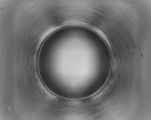 X0000089741053200706211457