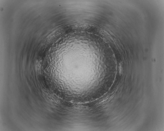 X0000089741059200706211456