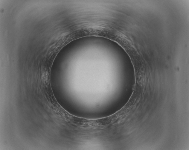 X0000089741061200706211456
