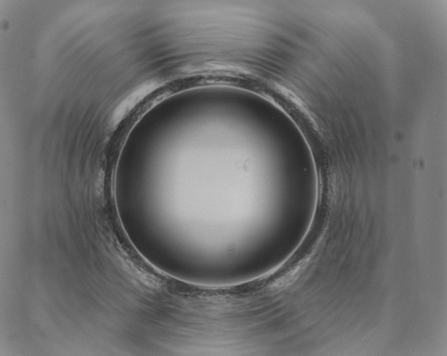 X0000089741066200706211456