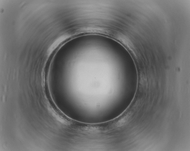 X0000089741082200706211456
