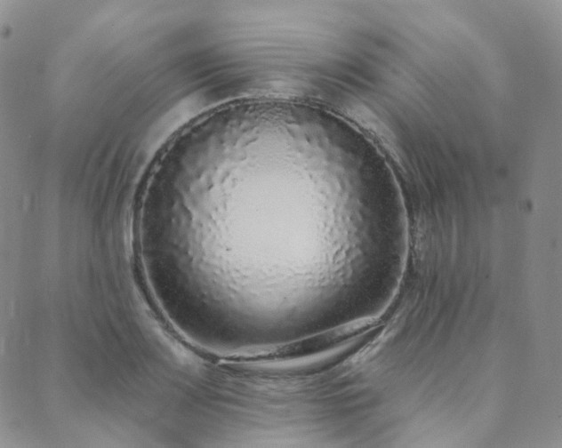 X0000089741083200706211456