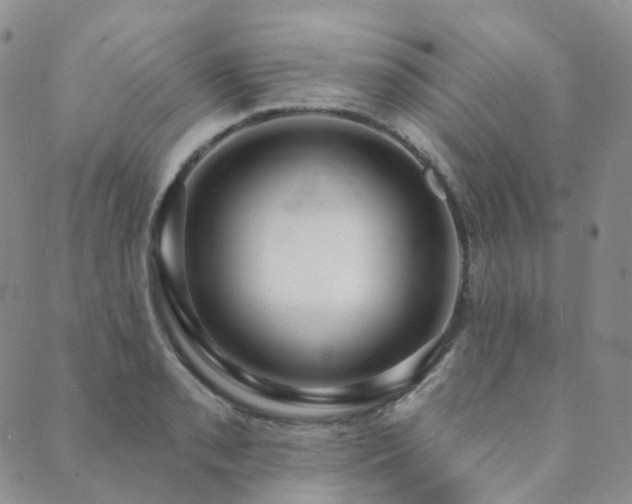 X0000089741085200706211456
