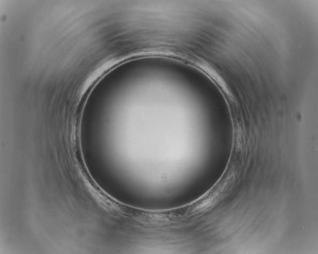 X0000089741101200706211456