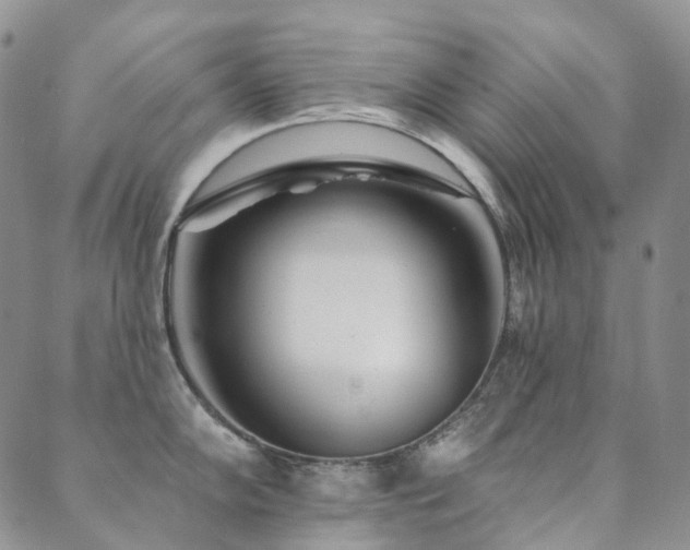 X0000089741102200706211456