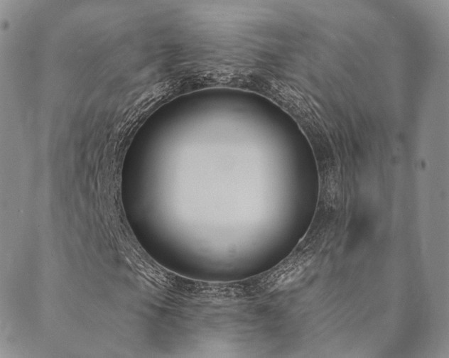 X0000089741105200706211455
