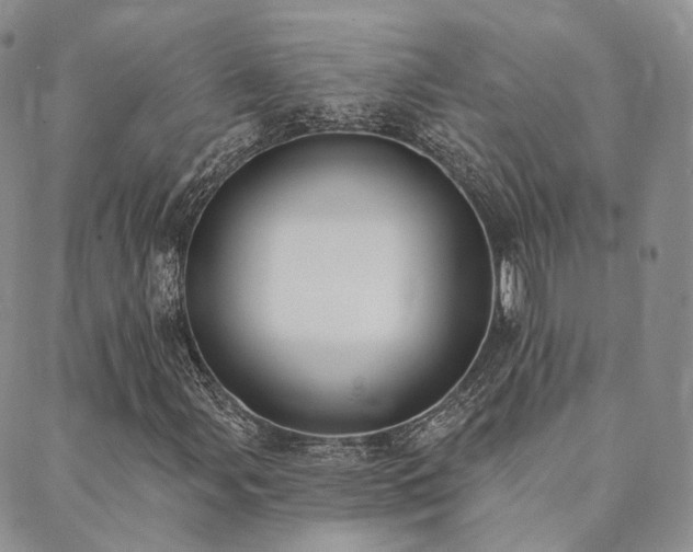 X0000089741107200706211455