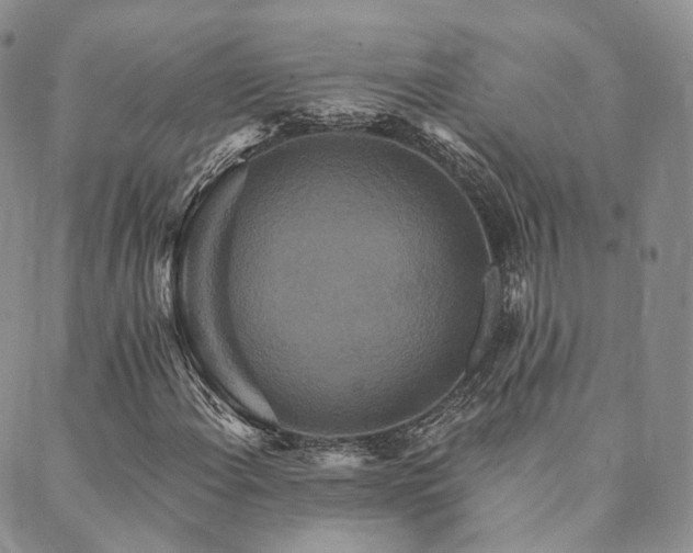 X0000089741108200706211455