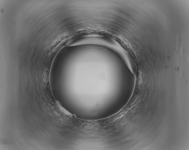 X0000089741110200706211455