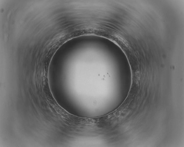X0000089741111200706211455