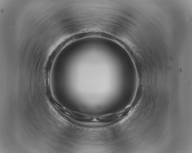X0000089741118200706211455