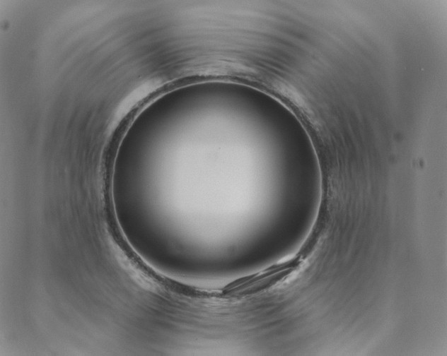 X0000089741122200706211455