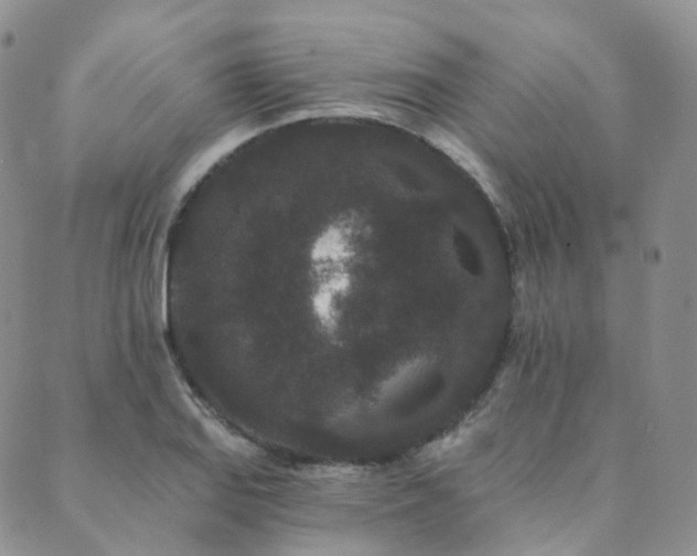 X0000089741127200706211455