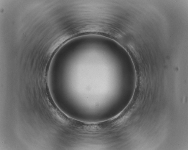 X0000089741129200706211455