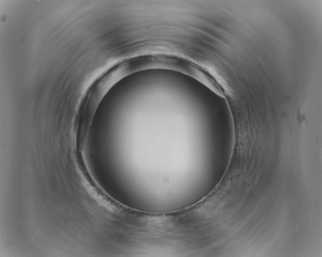 X0000089741134200706211455