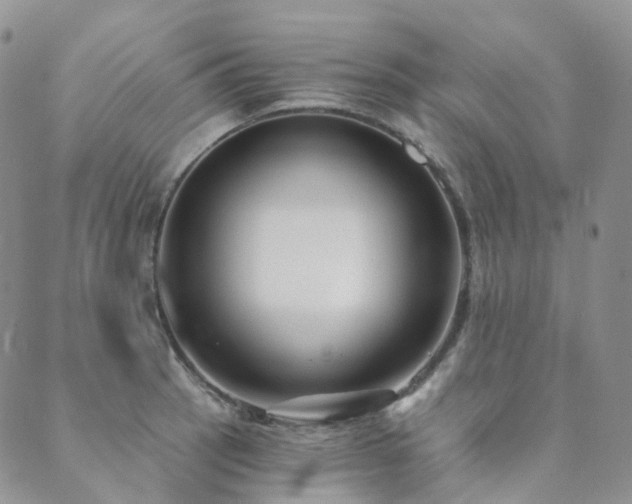 X0000089741137200706211455