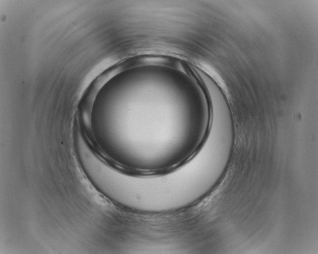 X0000089741138200706211455