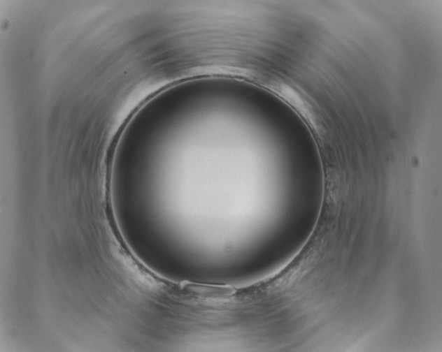 X0000089741140200706211455