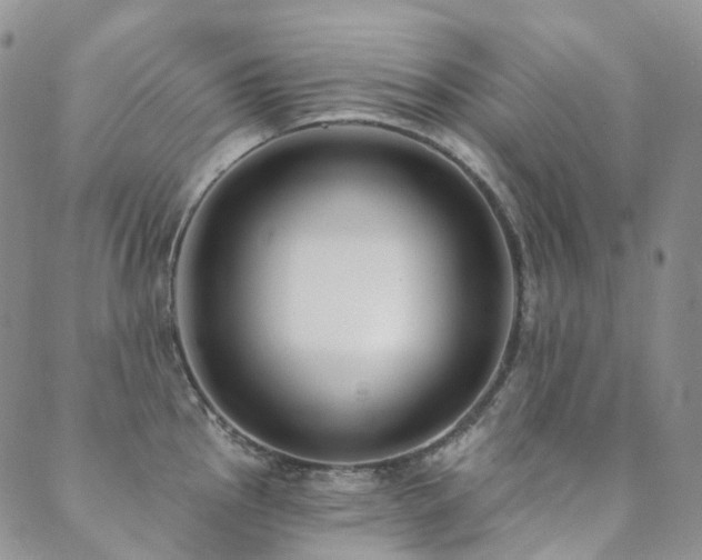 X0000089741145200706211455