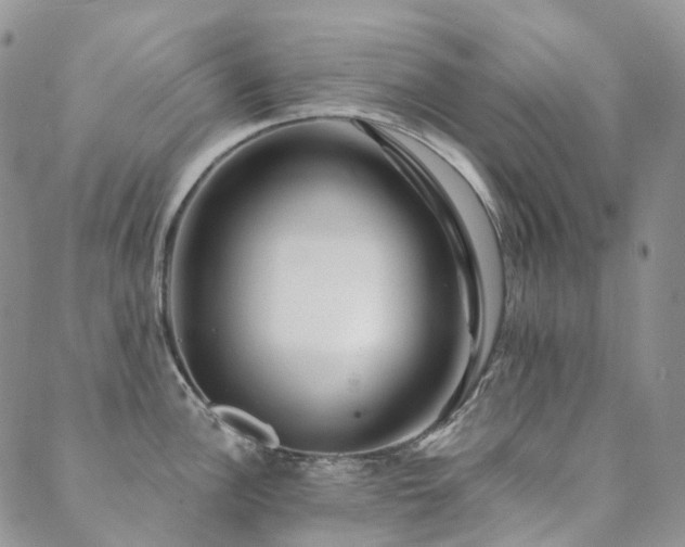 X0000089741148200706211455