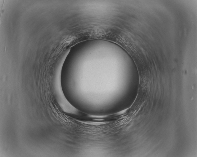 X0000089741153200706211455