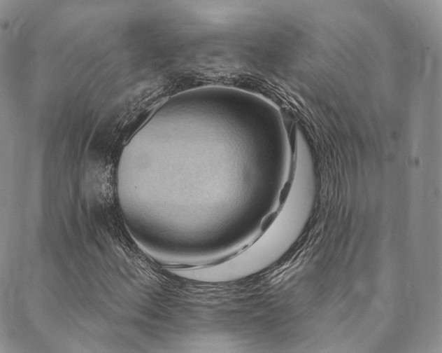 X0000089741156200706211455
