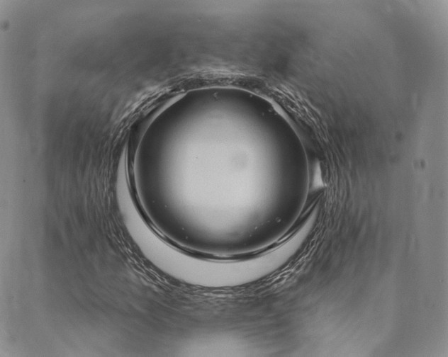 X0000089741157200706211455