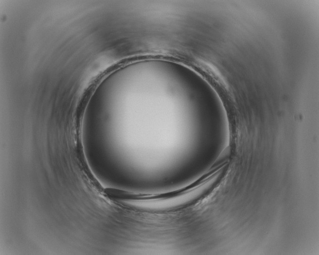 X0000089741172200706211454