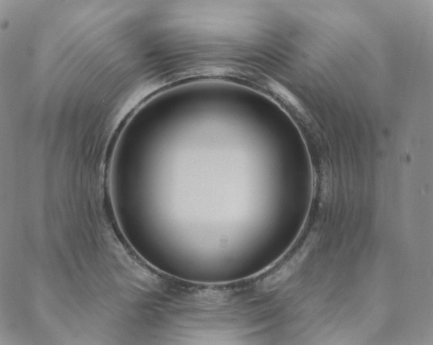 X0000089741178200706211454
