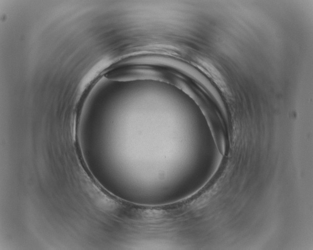 X0000089741180200706211454