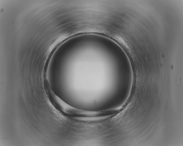 X0000089741181200706211454