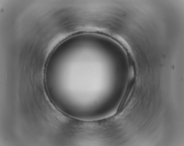 X0000089741183200706211454