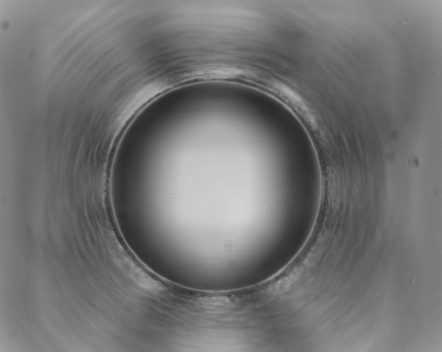 X0000089741186200706211454