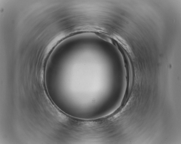 X0000089741188200706211454