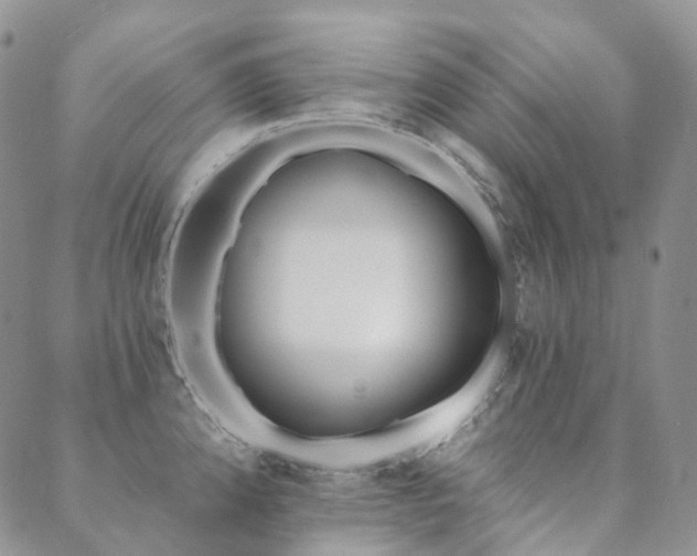 X0000089741192200706211454